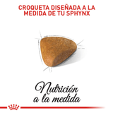 FBN SPHYNX - CROQUETA.png